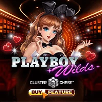 Persentase RTP untuk Playboy Wilds oleh Microgaming